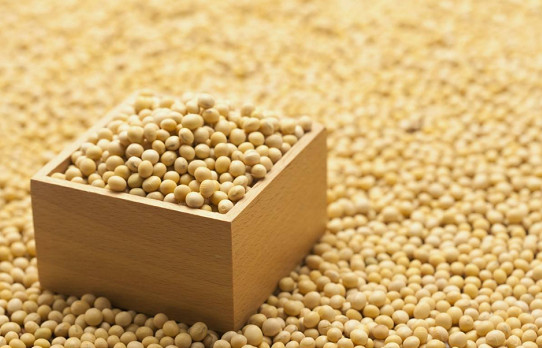 Extrusion process of soybean protein