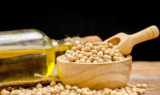 Technological progress of soybean oil refining industry