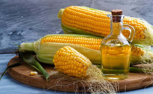 Nutritional function of corn oil