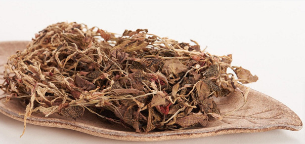 Application of heat pump and microwave combined drying in medicinal materials drying (1)