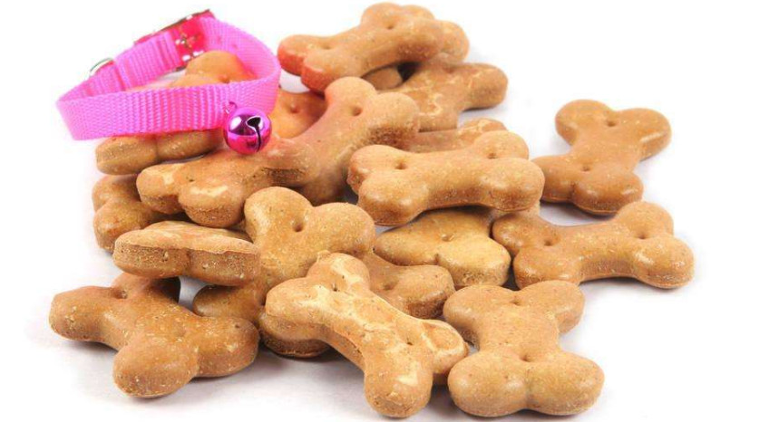 Exploration of pet food development prospects