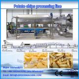 potato chips producing line