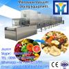 Fruits &amp; vegetables Stainless Steel Microwave LD Dryer Machine