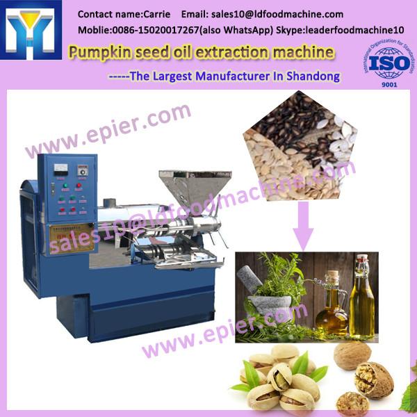 palm kernel castor bean oil expeller machine #1 image
