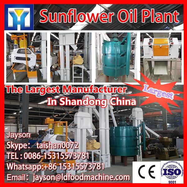 Cooking oil refining machine/groudnut oil refinery equipment/sunflower soybean oil refining plant for oil production line #1 image