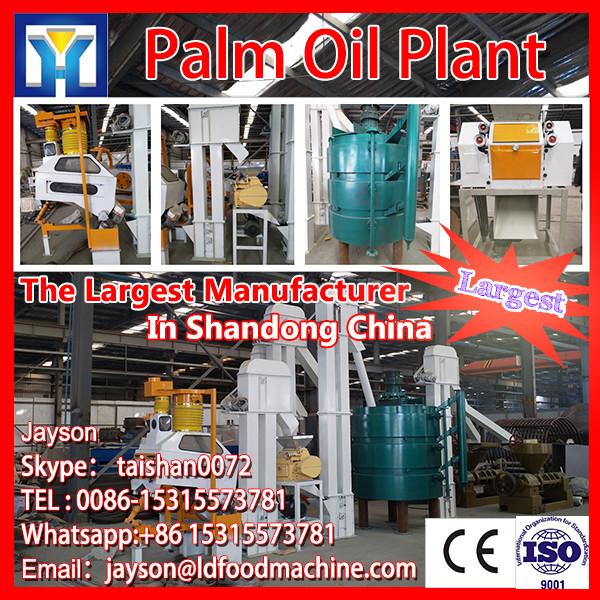 Fully automatic food grade palm oil plant/crude degummed rapeseed oil refinery machine #1 image