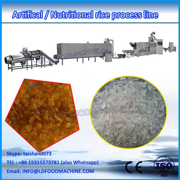 Twin screw artificial rice extruder machine/ artificial rice process line/ making machine #1 image