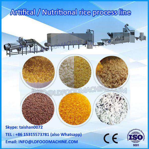 Long thin white paddy artifical rice food extruder machine  machinery company #1 image