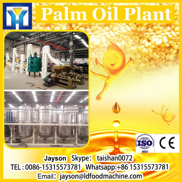 Africa hot sale High output FFB palm fruit oil pres processing machine &amp; palm oil milling plant palm fruit oil production line #1 image