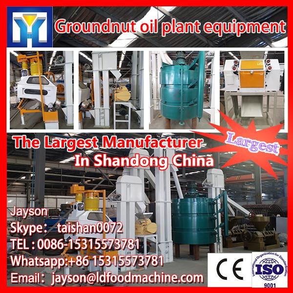 Hot sale in Nigeria 2t/d batch type mini crude palm soya peanut sunflower oil refinery plant at sale #1 image