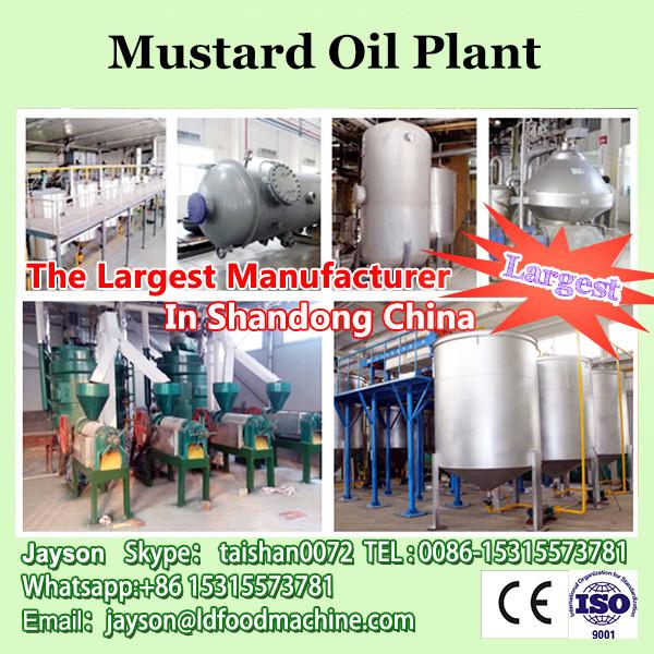 Cold Press Mustard Oil Machine/Corn Oil Production/Sunflower Oil Processing Plant #1 image
