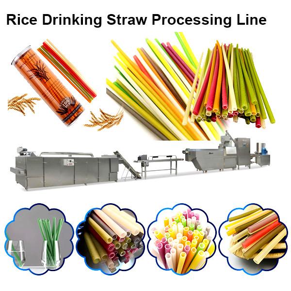 Chinese Manufacturer Industrial Biodegradable Edible Ecoware Rice Tapioca Drinking Straw Maker Making Machine #3 image