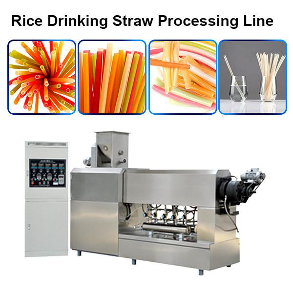 Stainless Steel Twin Screw Extruder Pasta Straw Making Machine/Rice Straw Making Machine #3 image