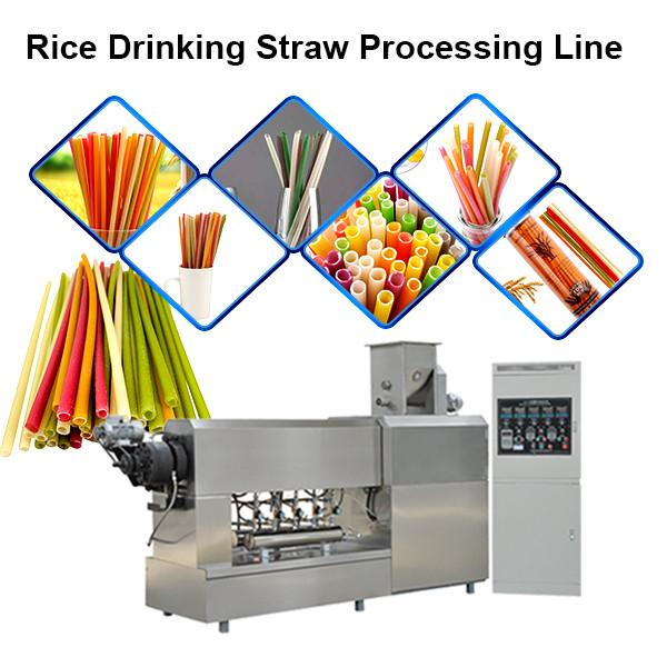 Single Screw Extruder Full Automatic Rice Straw Pasta Straw Making Machine in Korea #1 image