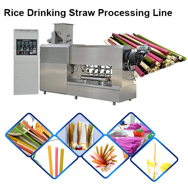 PLA Drinking Straw Making Machine/Biodegradable Straw Production Line #2 image